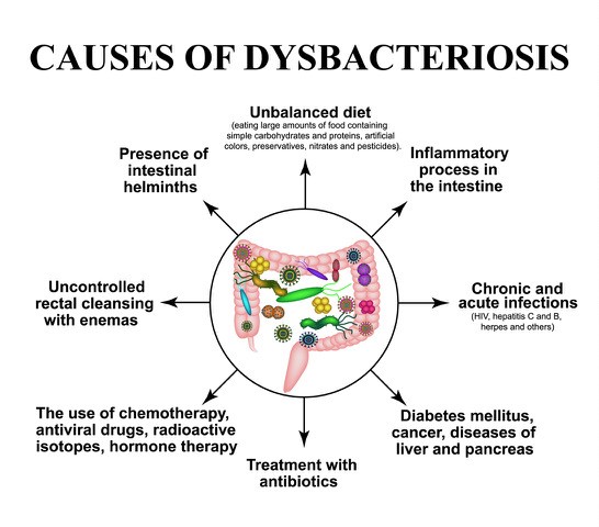 causes of dysbacteriosis, graph of unbalanced diet, inflammatory process in the intestine, chronic and acute infections, diabetes, treatment with antibiotics, use of chemotherapy or antiviral drugs, uncontrolled rectal cleaning by enemas, presence of intestinal helminths.